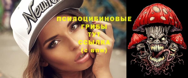 тгк Осташков