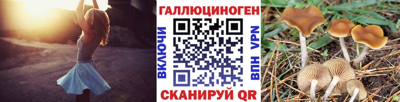 площадка какой сайт  Котельнич  Галлюциногенные грибы GOLDEN TEACHER 